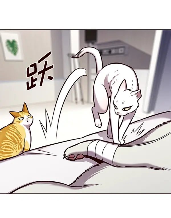 《觉醒吧，铲屎官！》第166话图15