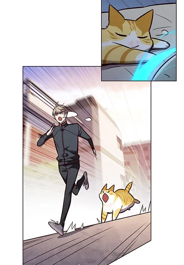 《觉醒吧，铲屎官！》第174话图107