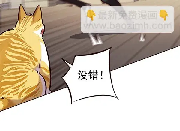 《觉醒吧，铲屎官！》第174话图65