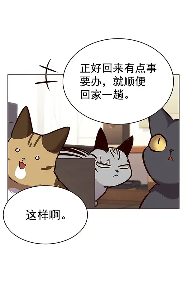《觉醒吧，铲屎官！》第177话图12