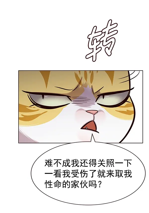 《觉醒吧，铲屎官！》第186话图33