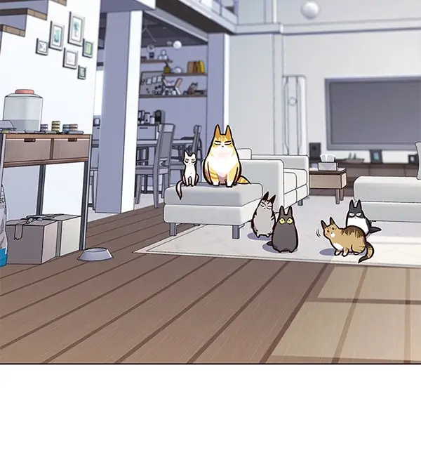 《觉醒吧，铲屎官！》第188话图30