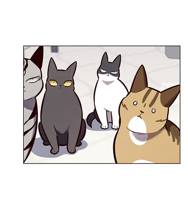 《觉醒吧，铲屎官！》第188话图40