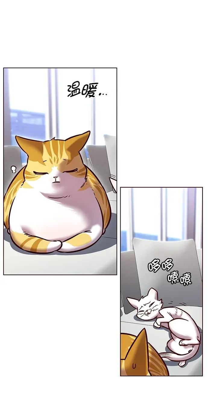 《觉醒吧，铲屎官！》第229话图21