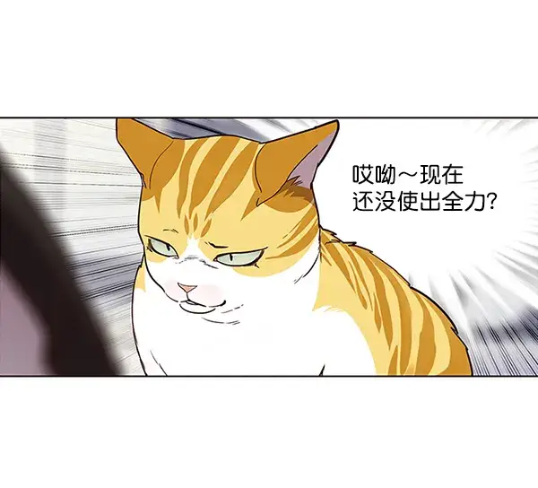 《觉醒吧，铲屎官！》第26话图25