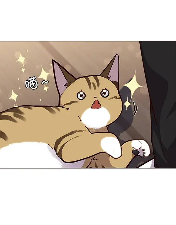 《觉醒吧，铲屎官！》第35话图15