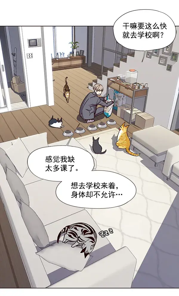 《觉醒吧，铲屎官！》第37话图36