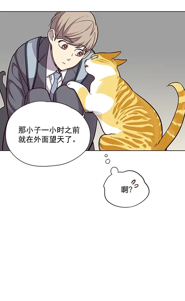 《觉醒吧，铲屎官！》第38话图28