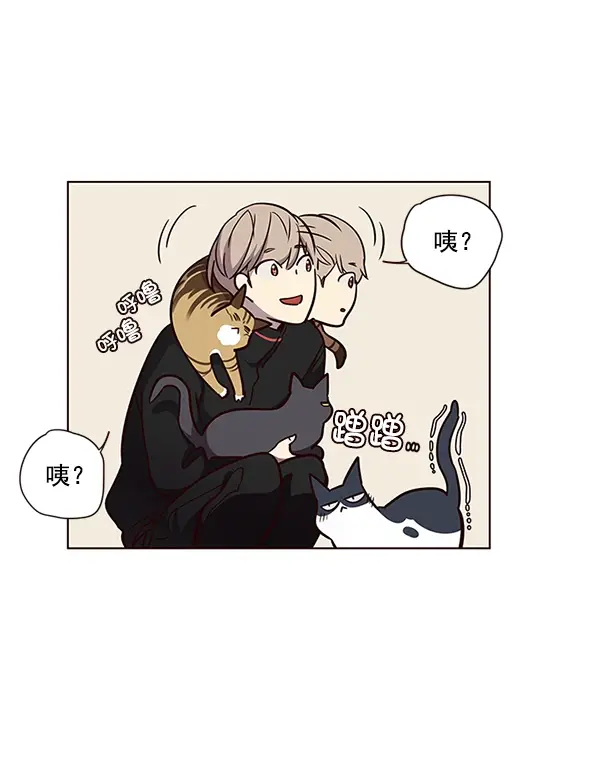 《觉醒吧，铲屎官！》第47话图30
