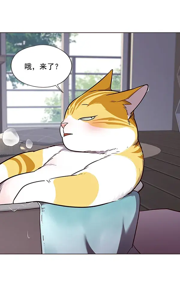 《觉醒吧，铲屎官！》第47话图39