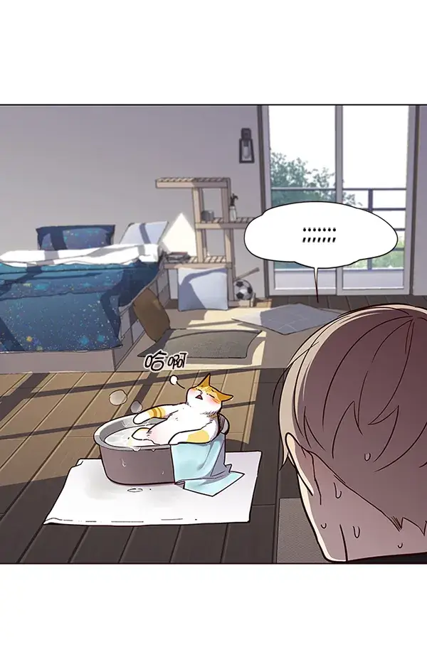 《觉醒吧，铲屎官！》第47话图40