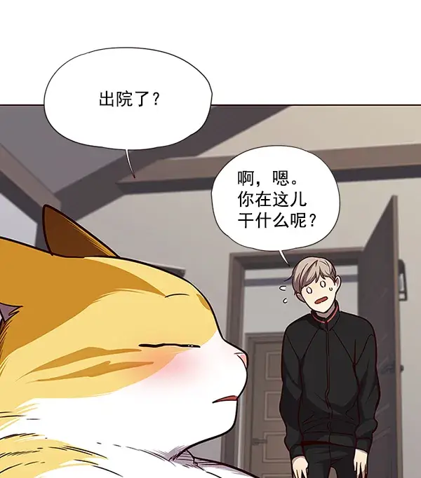 《觉醒吧，铲屎官！》第47话图41