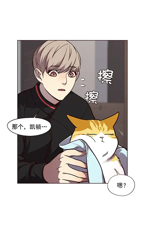 《觉醒吧，铲屎官！》第47话图48