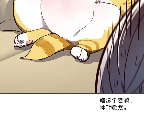 《觉醒吧，铲屎官！》第50话图11