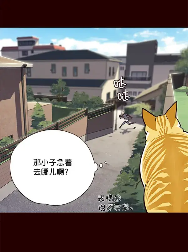 《觉醒吧，铲屎官！》第52话图44