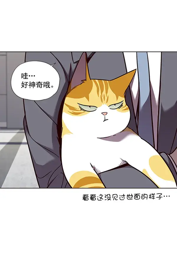 《觉醒吧，铲屎官！》第53话图29