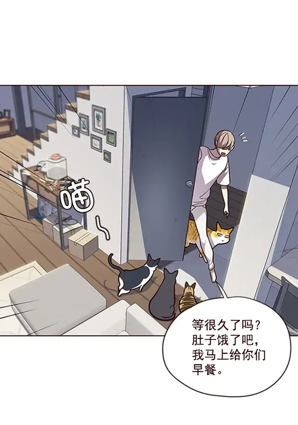 《觉醒吧，铲屎官！》第55话图15