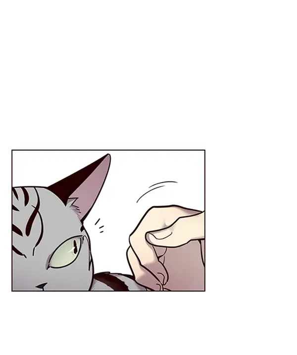 《觉醒吧，铲屎官！》第55话图20