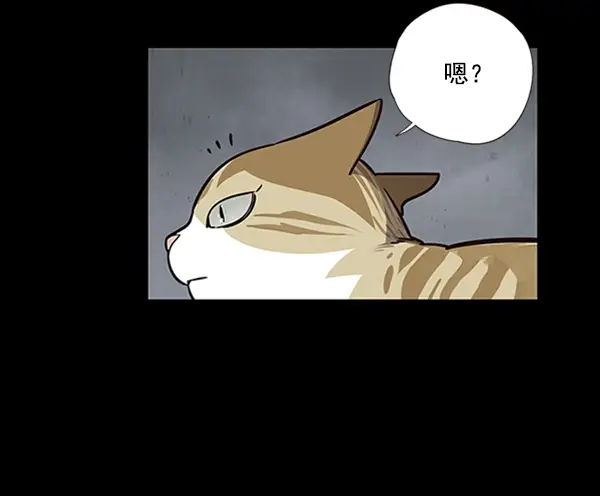 《觉醒吧，铲屎官！》第56话图4