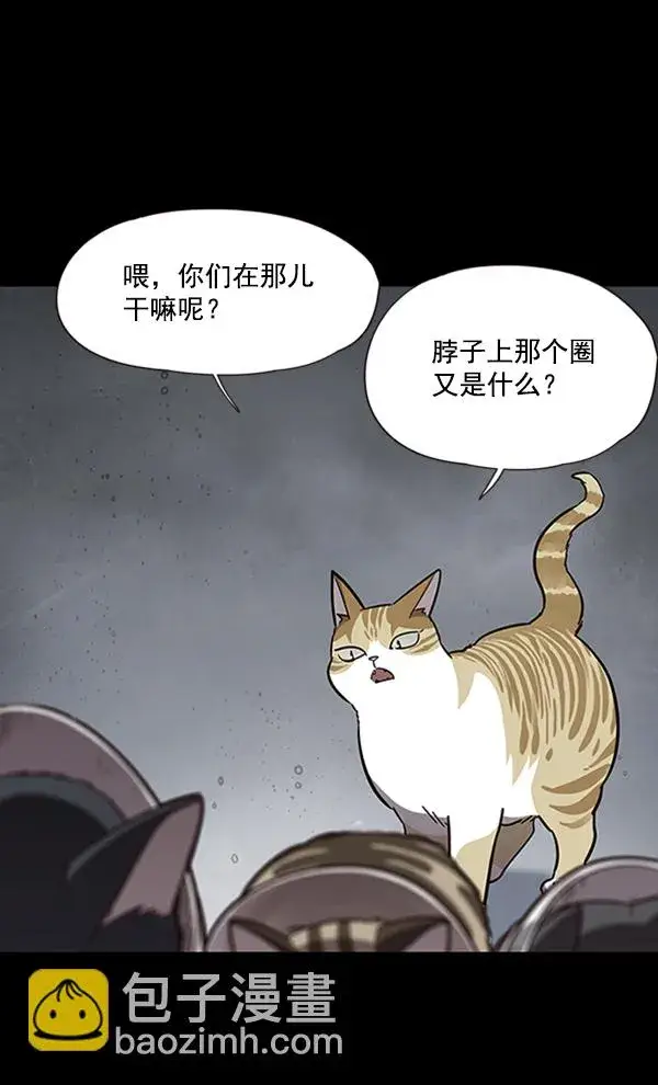 《觉醒吧，铲屎官！》第56话图6