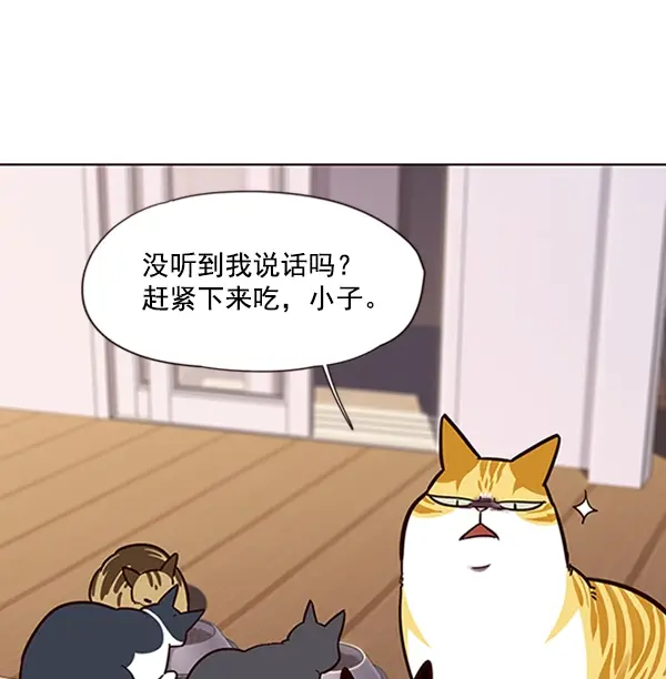 《觉醒吧，铲屎官！》第56话图74