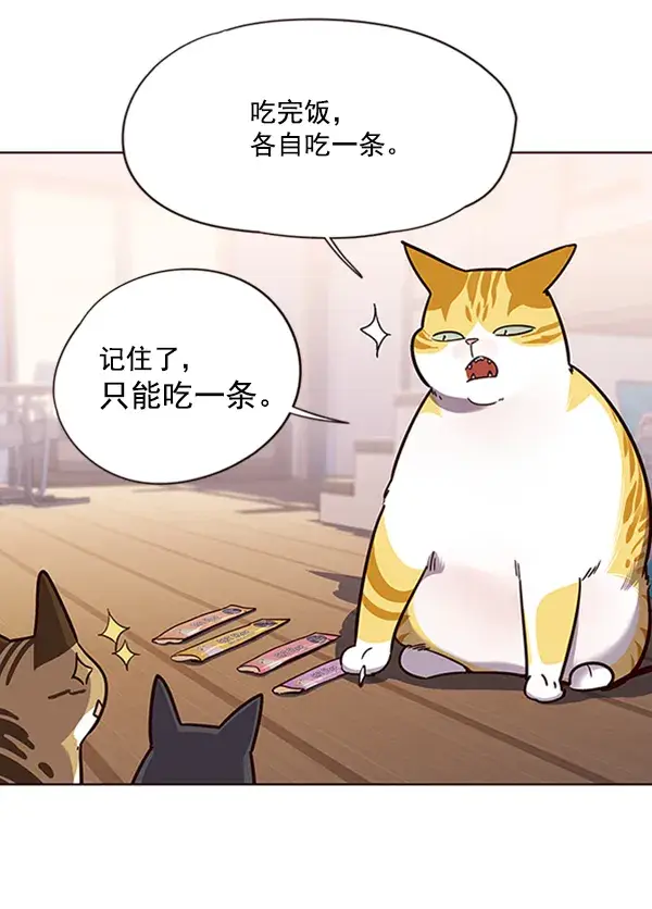 《觉醒吧，铲屎官！》第56话图79
