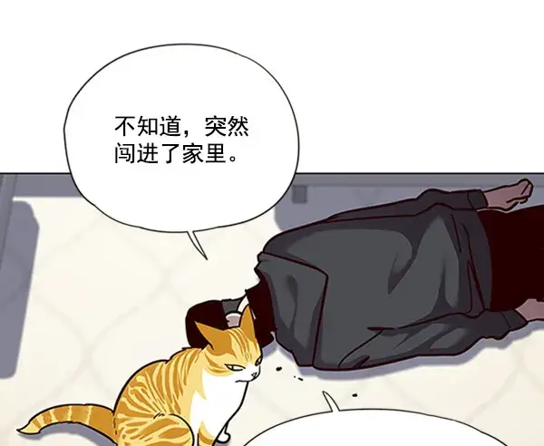 《觉醒吧，铲屎官！》第58话图65