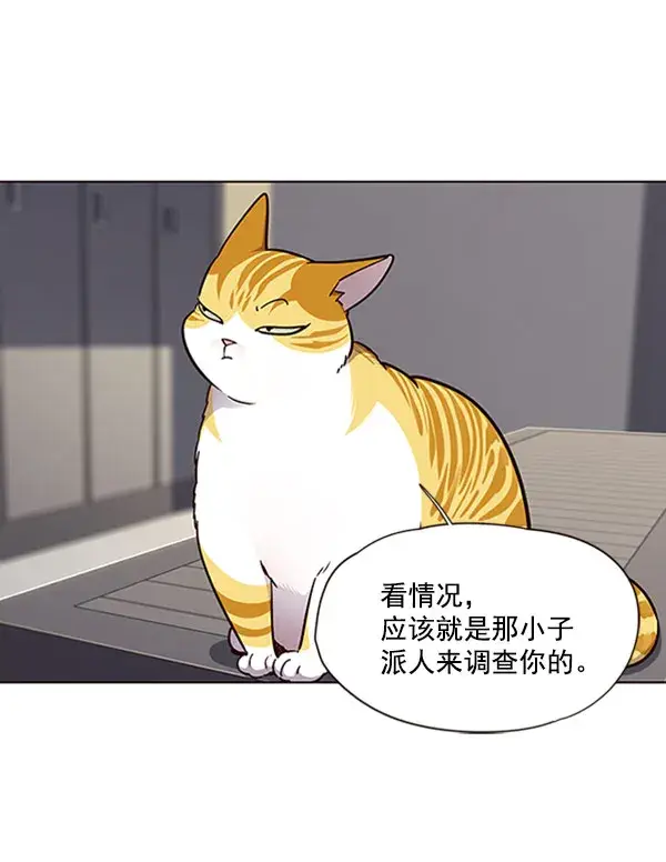 《觉醒吧，铲屎官！》第63话图48