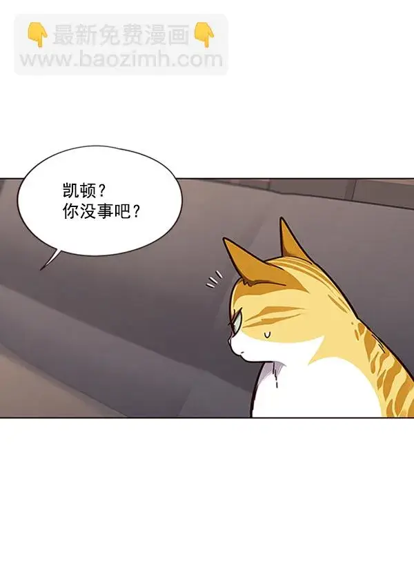 《觉醒吧，铲屎官！》第65话图17