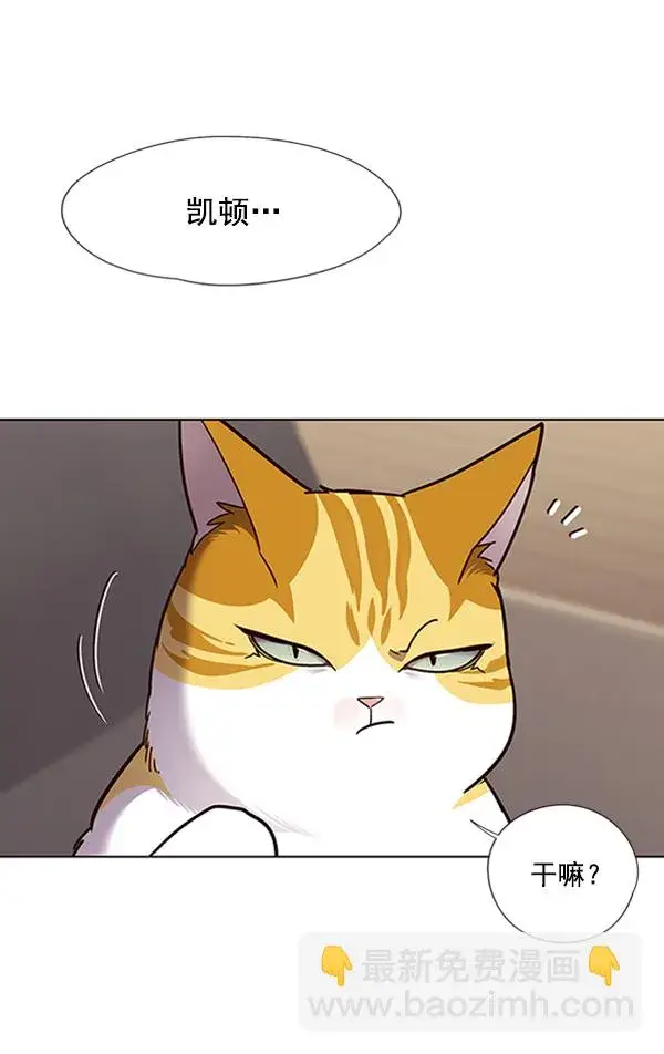 《觉醒吧，铲屎官！》第65话图86