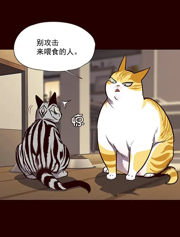 《觉醒吧，铲屎官！》第67话图45