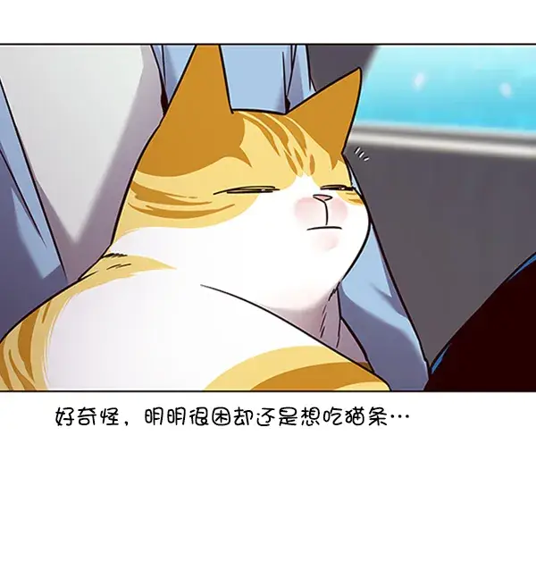 《觉醒吧，铲屎官！》第67话图70