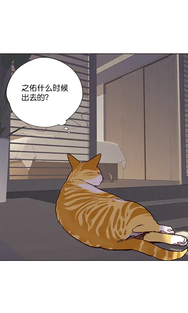 《觉醒吧，铲屎官！》第70话图4