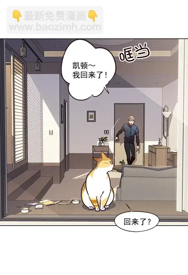 《觉醒吧，铲屎官！》第72话图82