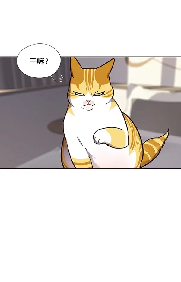 《觉醒吧，铲屎官！》第74话图97