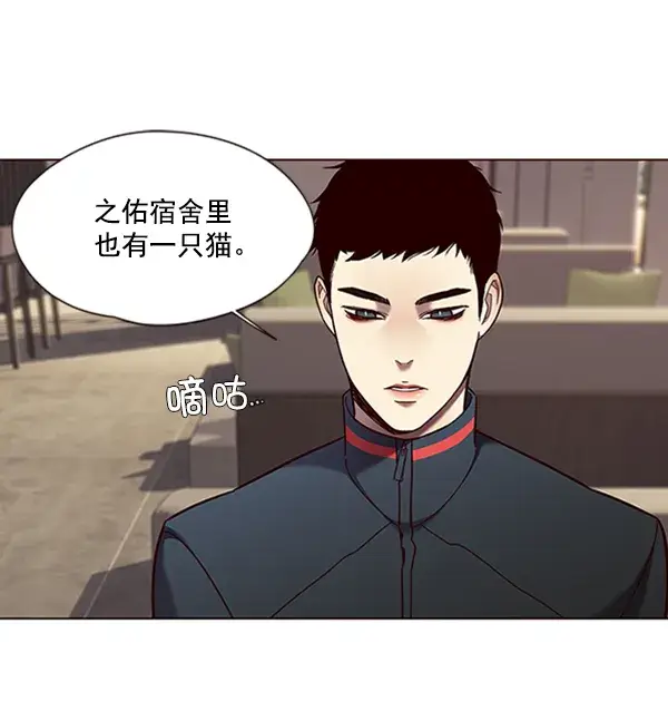 《觉醒吧，铲屎官！》第78话图94