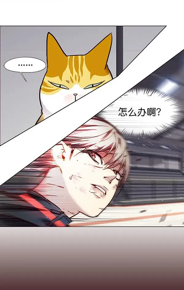 《觉醒吧，铲屎官！》第87话图61
