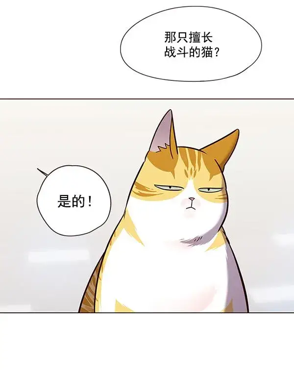 《觉醒吧，铲屎官！》第89话图53