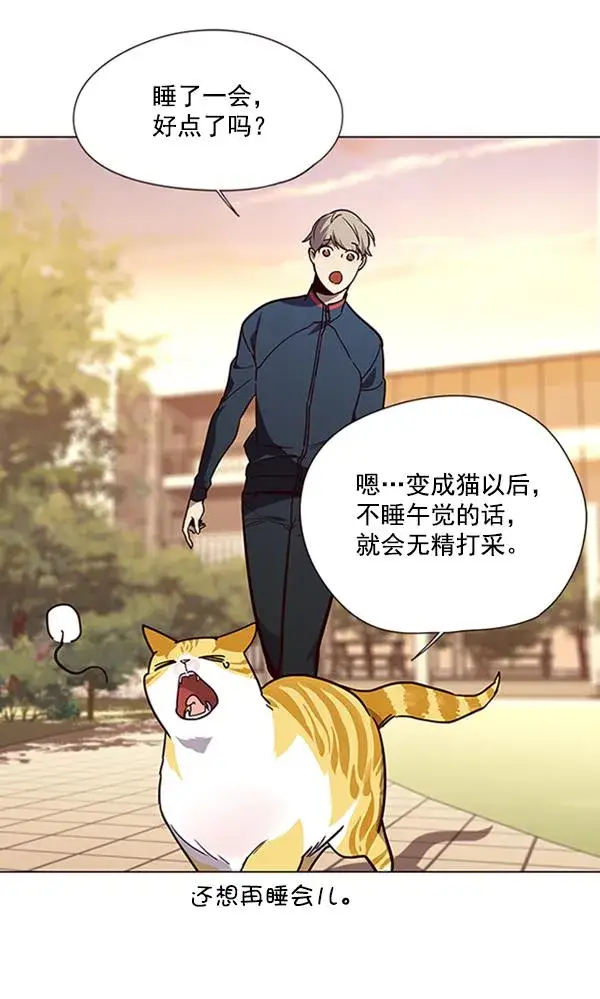 《觉醒吧，铲屎官！》第90话图68