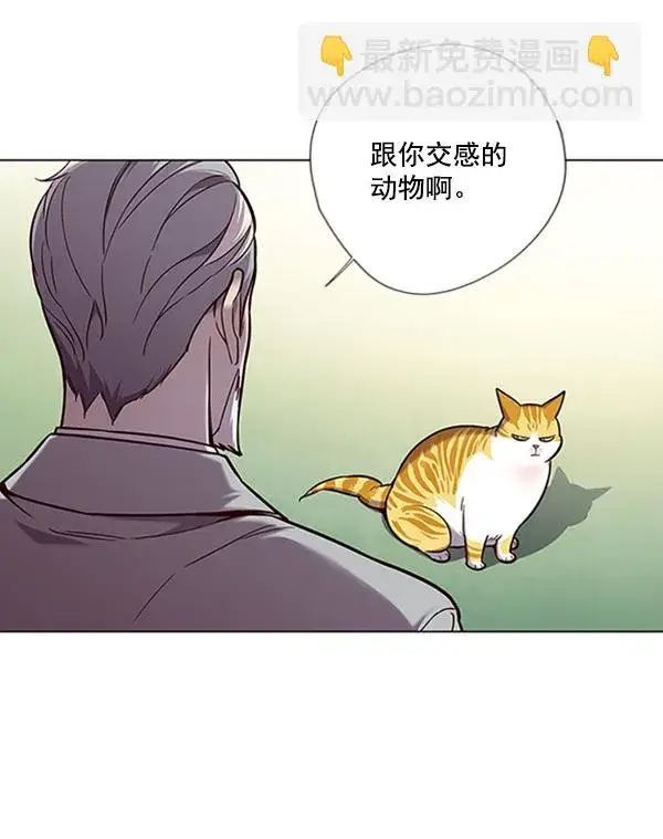 《觉醒吧，铲屎官！》第92话图45