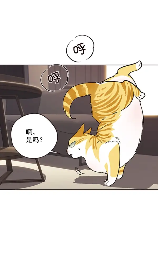 《觉醒吧，铲屎官！》第94话图28