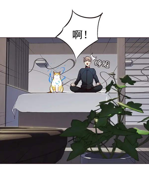 《觉醒吧，铲屎官！》第95话图51