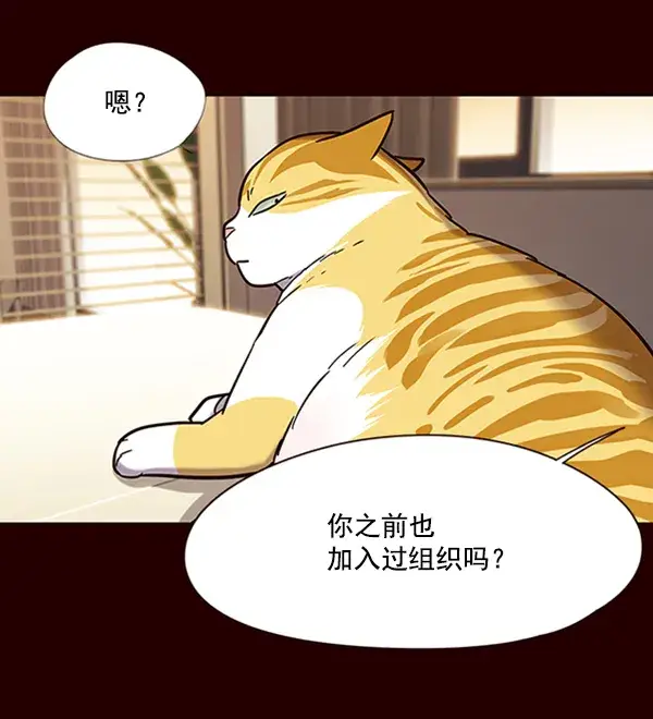 《觉醒吧，铲屎官！》第96话图14