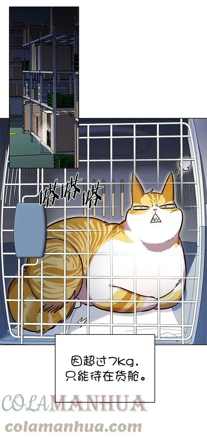 《觉醒吧，铲屎官！》第231话图25