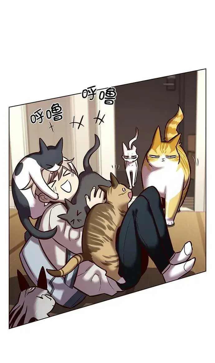 《觉醒吧，铲屎官！》第239话图3