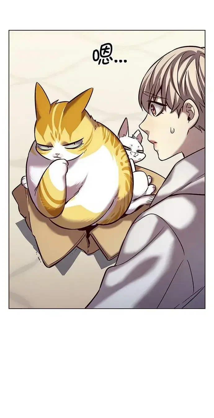 《觉醒吧，铲屎官！》第239话图42