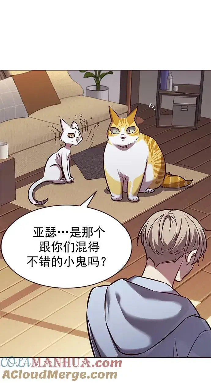 《觉醒吧，铲屎官！》第240话图49