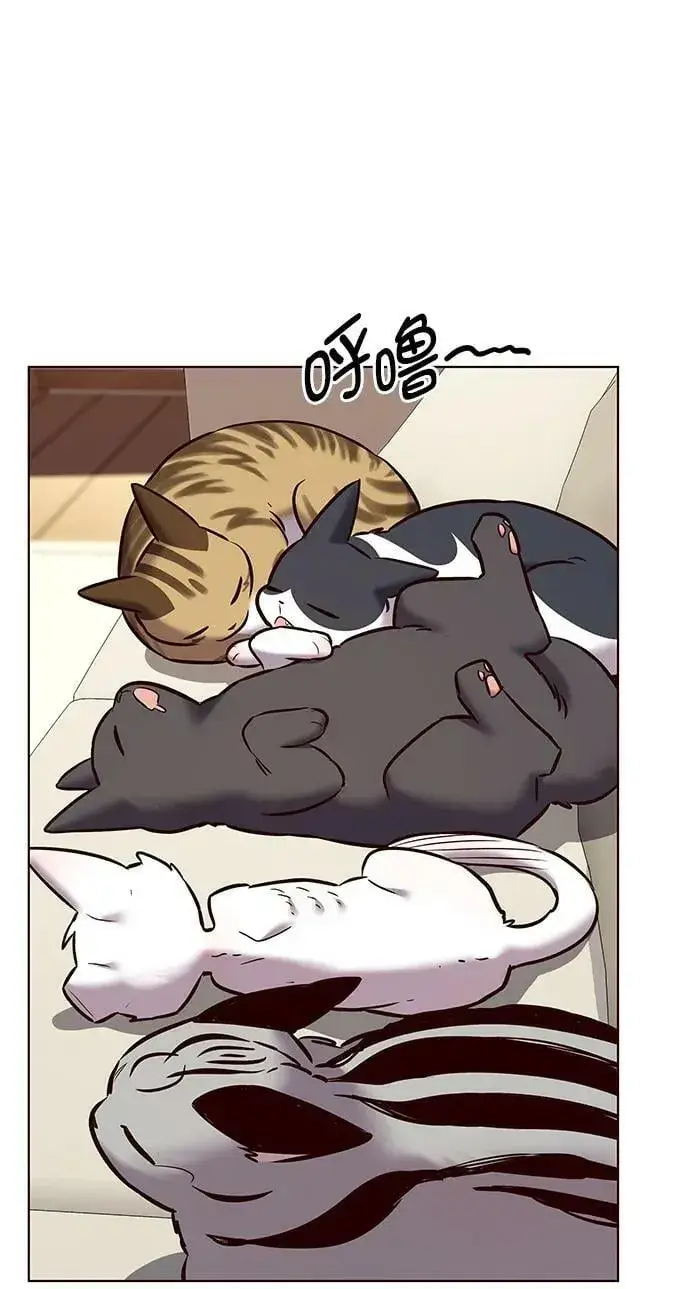 《觉醒吧，铲屎官！》第243话图68