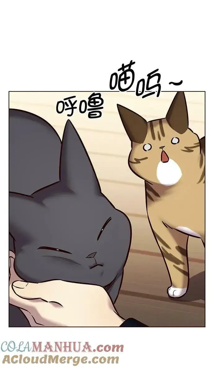 《觉醒吧，铲屎官！》第244话图46