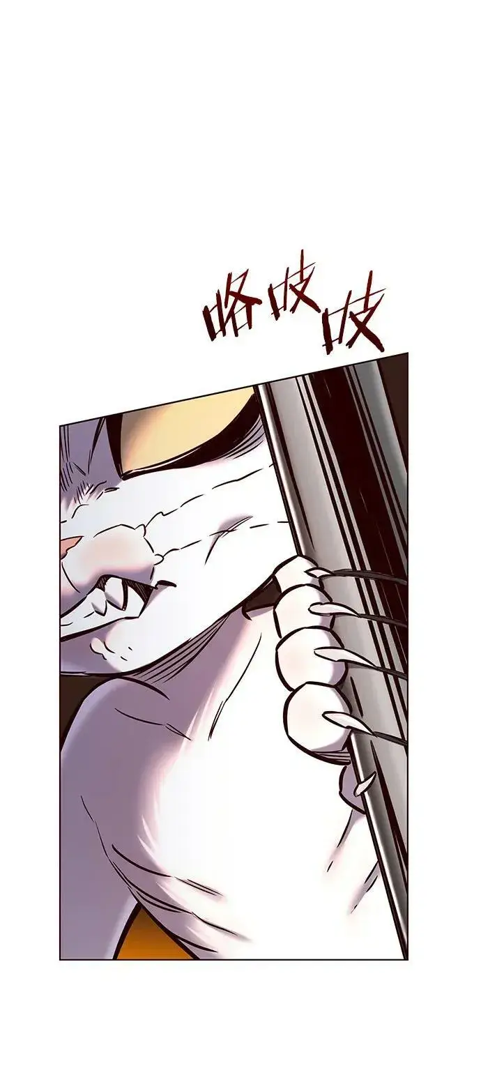 《觉醒吧，铲屎官！》第249话图42